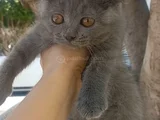 Kalite tesadüf değil tercihtir