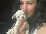 Şivava Yavrularım Sağlık Ve Irk Garantilidir