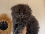 Kucak delisi oyun hamuru bir bebiş