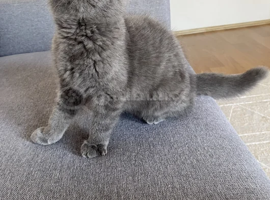 Güzel Kızım Maya