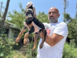 En Kalitelisi Bizde Var Doberman Yavrular