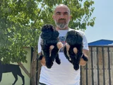 Siyah Toy Poodle Yavrular