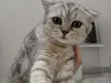 5 Aylık Yavrularımız Yeni Yuvalarını Arıyor