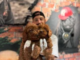 Secereli Zeki Tüy Dökmez Toy Poodle Yavrularımız