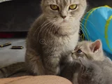 1 Yasında Güzellik Abidesi