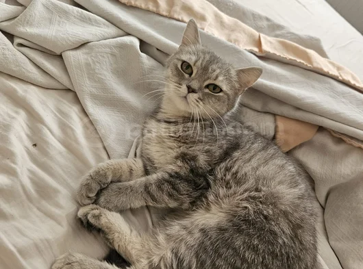 1 Yasında Güzellik Abidesi