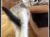 2 Yavru Dişi 1 Yavru Erkek Kedi