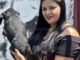 Sakan Cane Corso Yavrularım