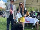 Şampiyon Soydan Puli Yavruları Yeni Evlerine Gitmeye Hazır