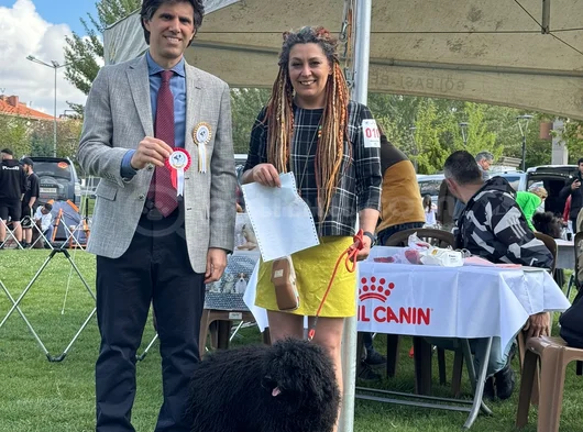 Şampiyon Soydan Puli Yavruları Yeni Evlerine Gitmeye Hazır