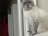 Sevgi Dolu Bir Yuvaya İhtiyacı Var