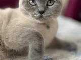 Sevgi Dolu Bir Yuvaya İhtiyacı Var