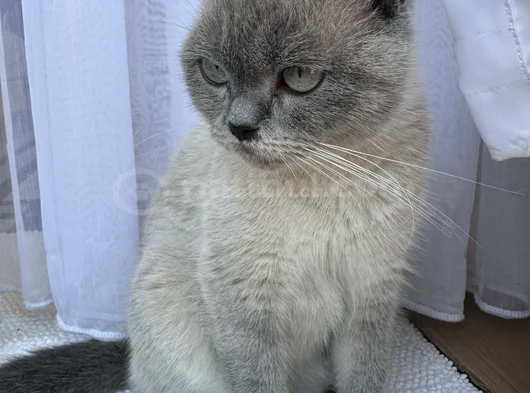 Sevgi Dolu Bir Yuvaya İhtiyacı Var görsel