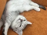Kızıma Güzel Bir Yuva