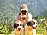 Hei̇di̇ Ni̇n Köpeği̇ Fi̇lm Yildizi Sai̇nt Bernard Yavrular