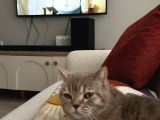 Güzel Kızımıza Yuva Arıyoruz