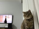 Güzel kızımıza yuva arıyoruz