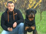 Saf-Kan Orjinal Rottweiller Yavrularımız Burkemden
