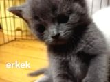 Güzel Bebek Tesli̇me Hazir