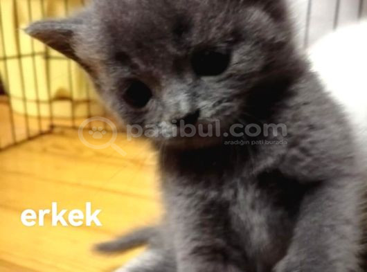 Güzel Bebek Tesli̇me Hazir görsel