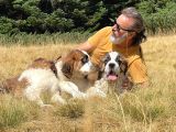 Bethowen  St Bernard Yavrular
