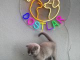 Sağlik Garanti̇li̇ Ve Uygun
