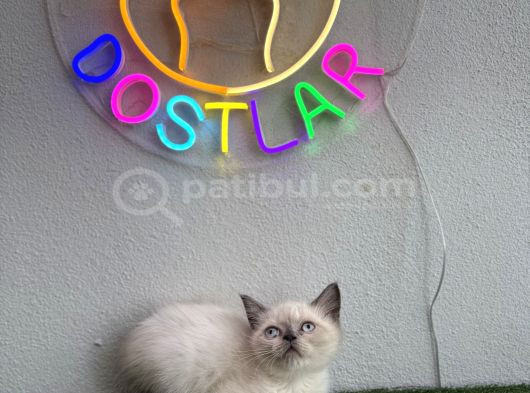 Sağlik Garanti̇li̇ Ve Uygun görsel
