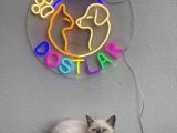 Sağlik Garanti̇li̇ Ve Uygun