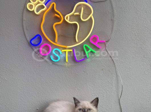 Sağlik Garanti̇li̇ Ve Uygun görsel