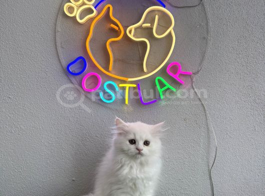 Sağlik Garanti̇li̇ Ve Uygun görsel