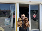 Renk Renk Orji̇nal Toy Poodle Yavrularimiz Güncel Ankara
