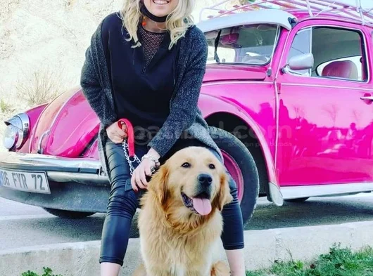 Baybface Orjinal Golden Bebekler görsel