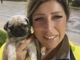 Hamburger Surat Gül Kuyruk