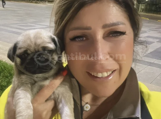 Hamburger Surat Gül Kuyruk görsel
