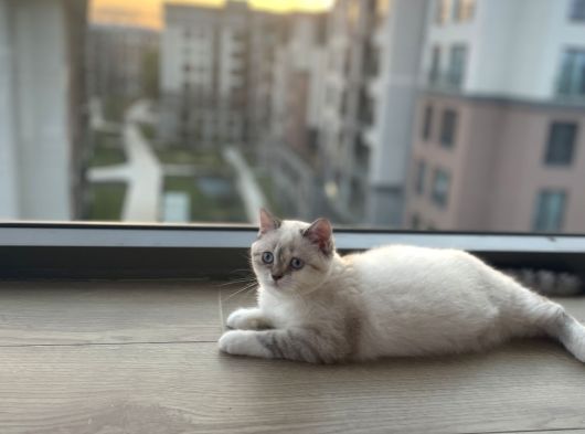 Minik Kızıma Ömürlük Yuva görsel