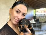 Doberman Yavrularım Sağlık Ve Irk Garantilşdş