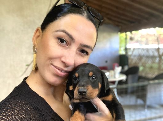 Doberman Yavrularım Sağlık Ve Irk Garantilşdş görsel