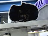 Muhtaç Di̇şi̇ Yavru Teki̇r Kedi̇ İçi̇n Aci̇l Yuva Araniyor