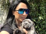 Cane Corso Yavruşarım Sağlık Ve Irk Garantilid