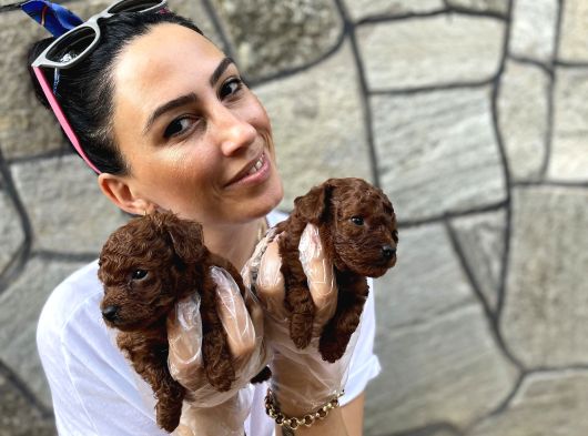 Toy Poddle Bebeklerim Ped Eğitimli görsel