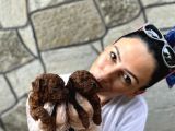 Toy poddle bebeklerim ped eğitimli