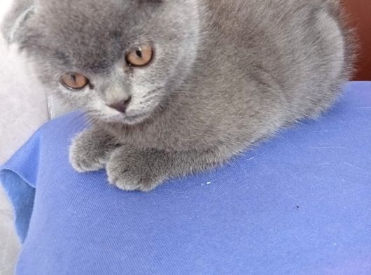 Teslimi Hazır Bebekteslimi Hazır Bebekler Uygun Puan görsel