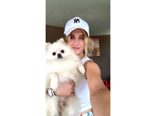 Pomeranian Boo Yavruları