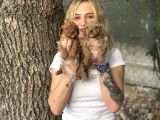 Toy Poodle Yavrularımız