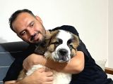Üst Kali̇te St Bermard Safkan