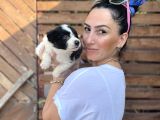 Çok Özel Renkleriyle Yavrularım Mevc