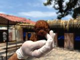 Mıcro Kore Red Poodle Bebışler