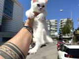 Wc Eği A Kalite Bebekler