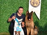 Şecereli Uzun Tüylü Dişi yavrular