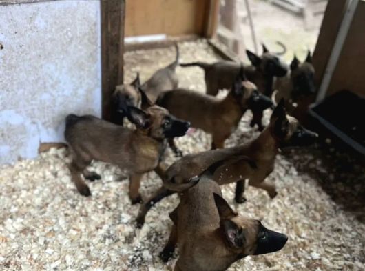 Bu Işin Istanbuldaki En Iyi Temsilcisi görsel